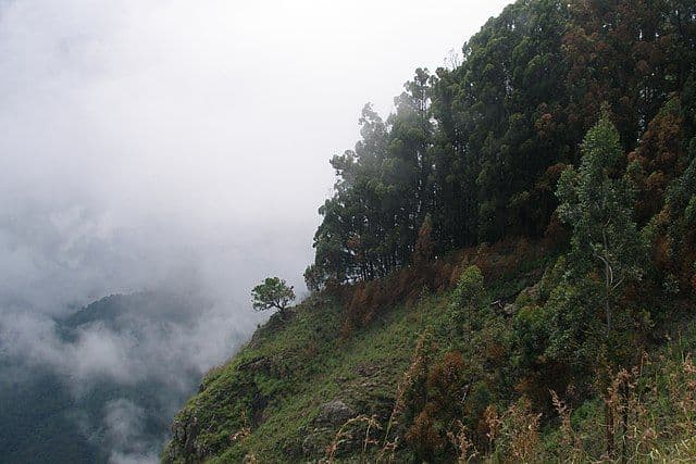 Sri Lanka: Hint Okyanusu'ndaki Cennet - 2